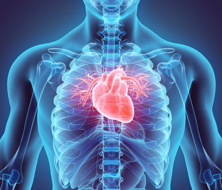 New Hope for Heart Attack Patients with a Beating Heart Patch