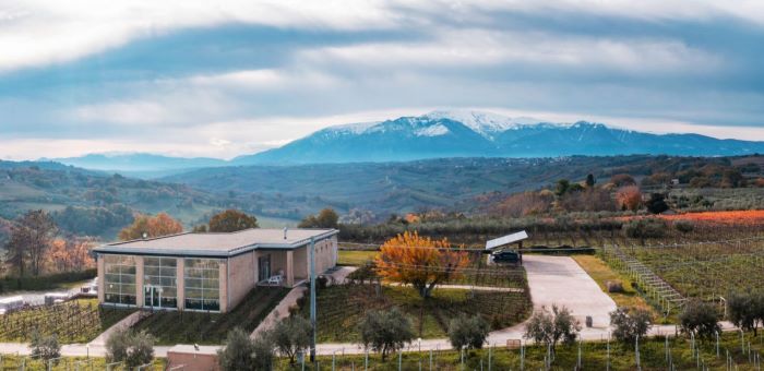 Special interview with Cristina Faur – LVG WINE, Italy – EN&IT