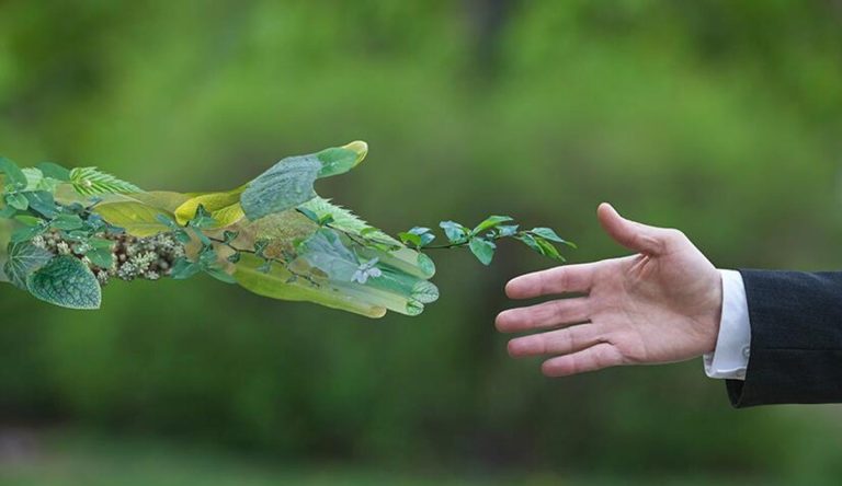 Planurile de protectie climatica pentru Germania si UE vor costa 4500 de miliarde de euro